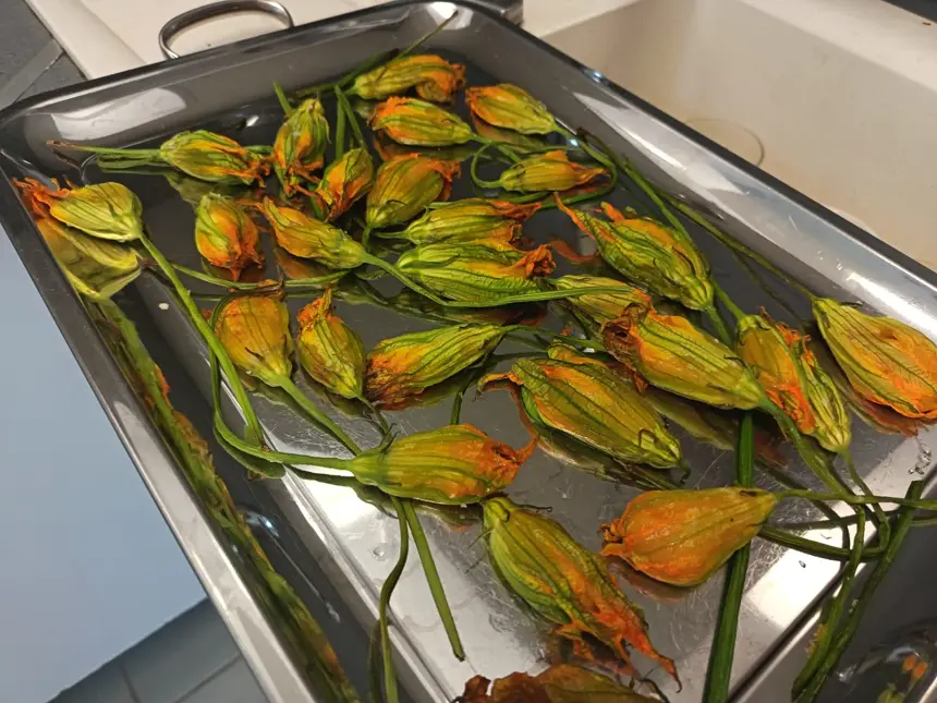 Fleurs de courgette alignées sur une plaque inox