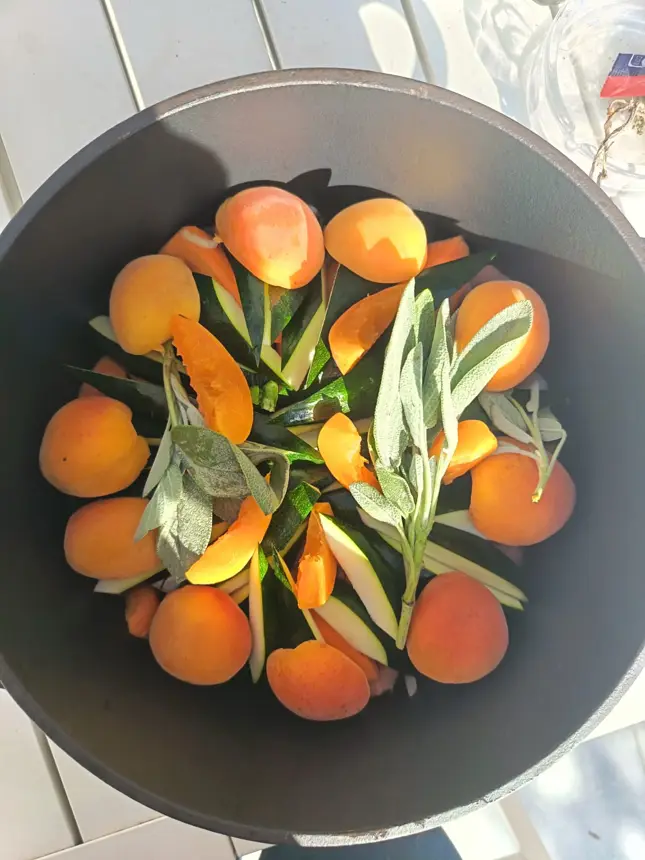 Abricots et herbes disposés en cercle dans une cocotte sombre, vue du dessus
